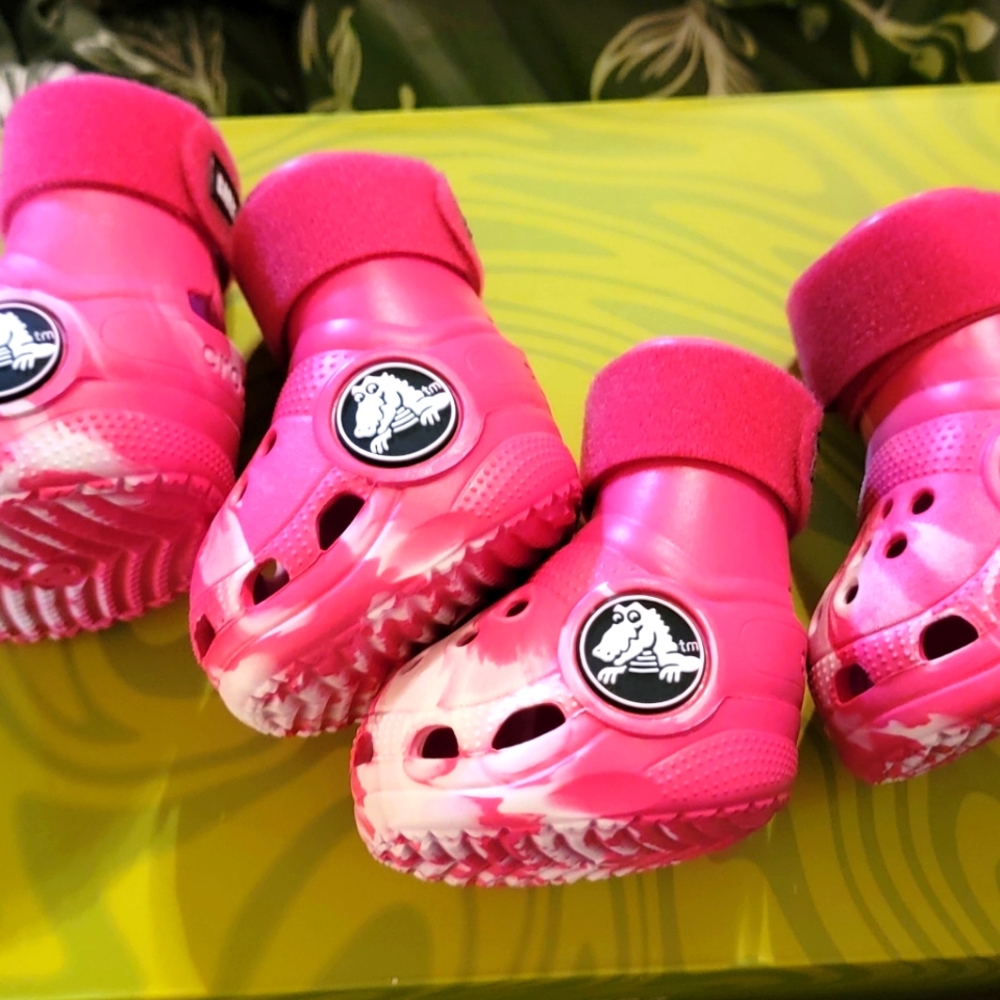 Dog crocs size large